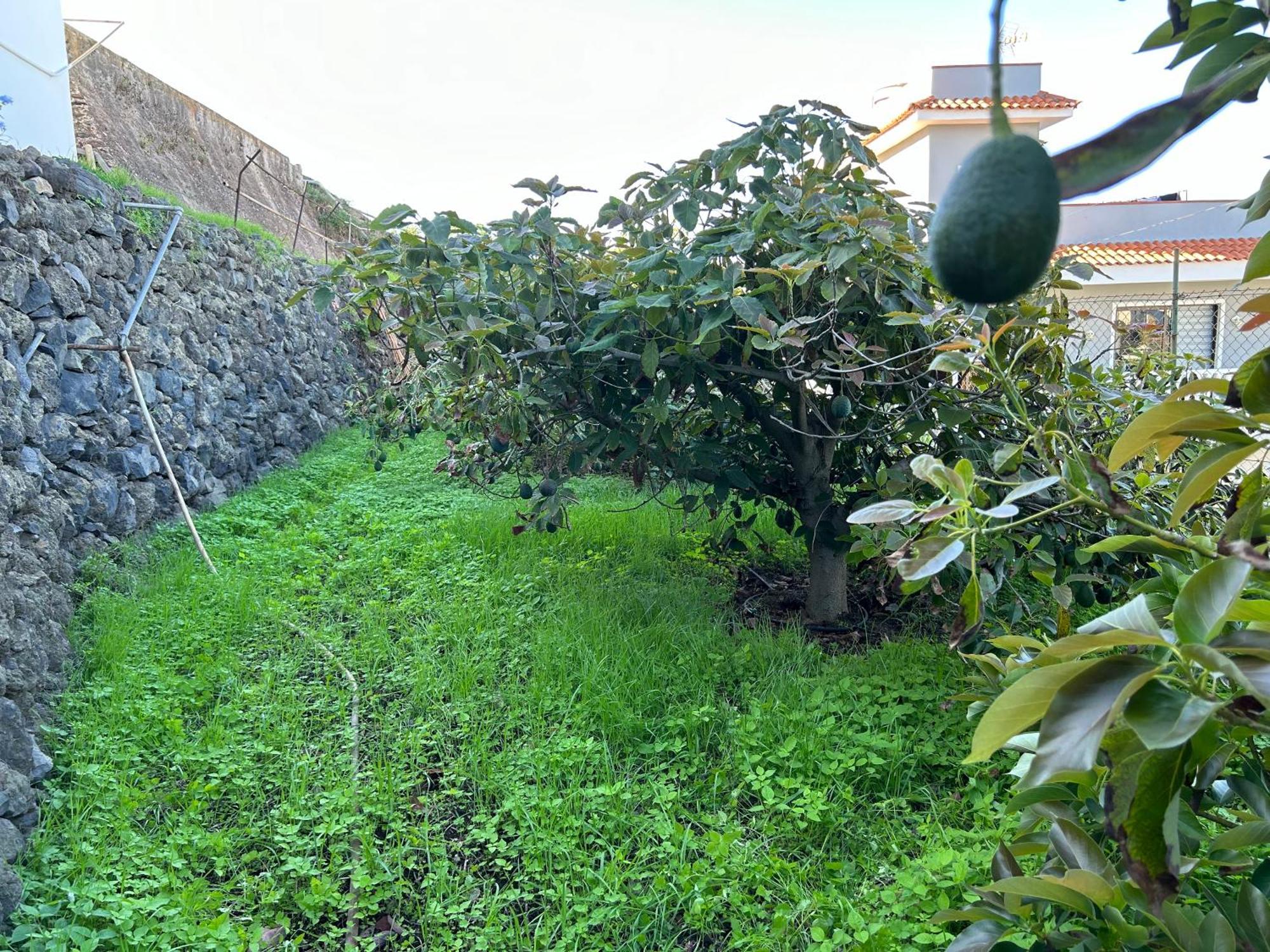ガラチコCasa La Olivaアパートメント エクステリア 写真